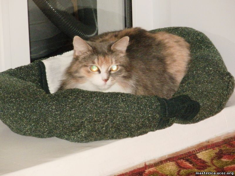 лежанка из свитера для кошки
