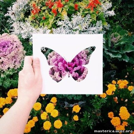 бабочки из бумаги и цветов