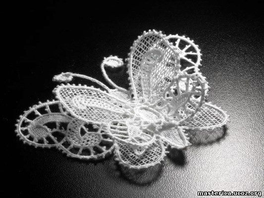 кружевная бабочка