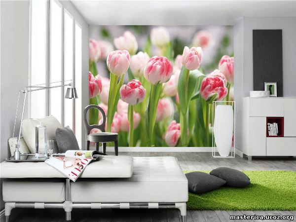 фотообои тюльпаны